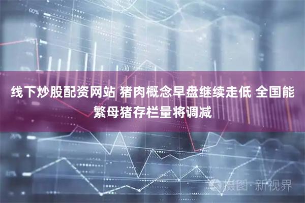 线下炒股配资网站 猪肉概念早盘继续走低 全国能繁母猪存栏量将调减