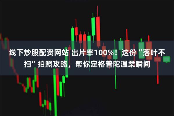 线下炒股配资网站 出片率100%！这份“落叶不扫”拍照攻略，帮你定格普陀温柔瞬间