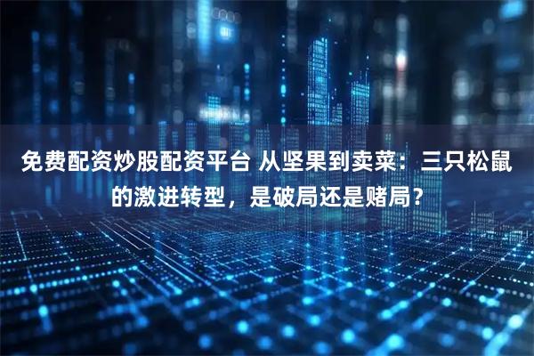 免费配资炒股配资平台 从坚果到卖菜：三只松鼠的激进转型，是破局还是赌局？